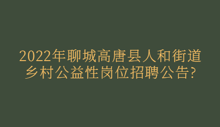 2022年聊城高唐县人和街道乡村公益性岗位招聘公告