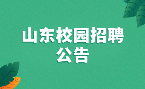 山东校园招聘公告