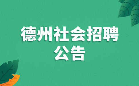 德州社会招聘公告