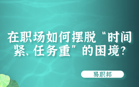 山东职场资讯