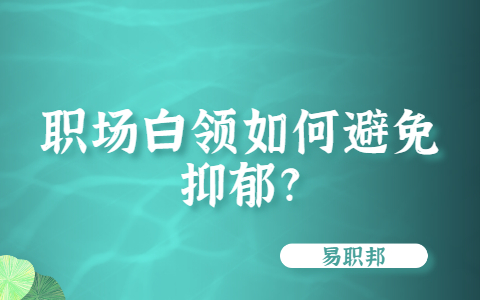 山东职场资讯