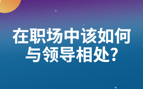 山东职场人际关系
