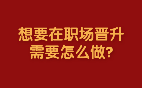 山东职场晋升