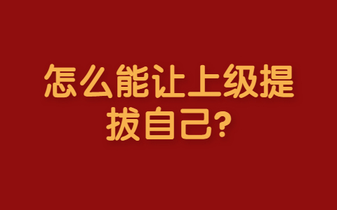 山东职场晋升