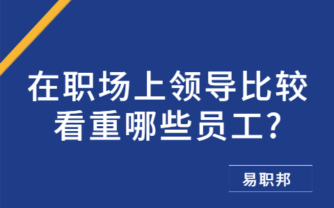 山东职场资讯