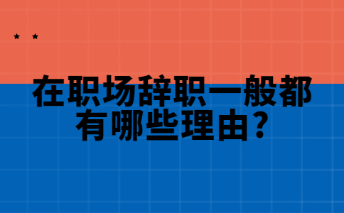 山东职场资讯