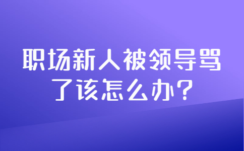 山东职场资讯