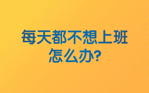 山东职场资讯