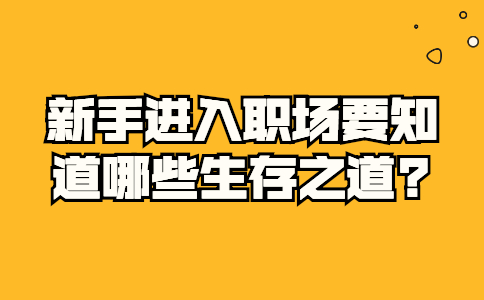 山东职场资讯
