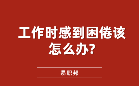 山东职场资讯