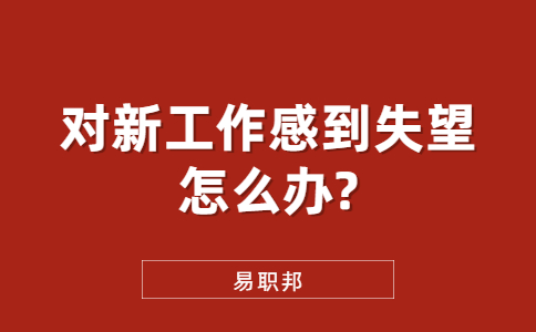 山东职场资讯