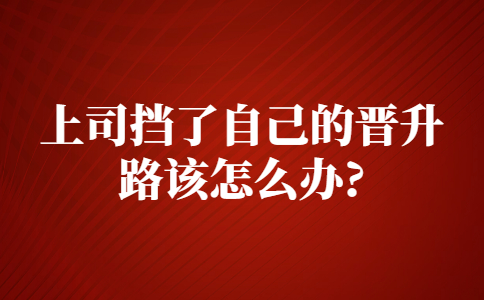 山东职场晋升