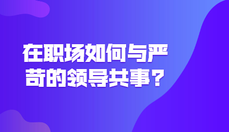 职场资讯