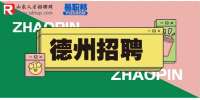 2023年德州市德城区卫生健康事业单位招聘291人简章