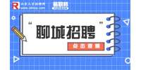 2023年聊城临清市乡村公益性岗位招聘5517人公告